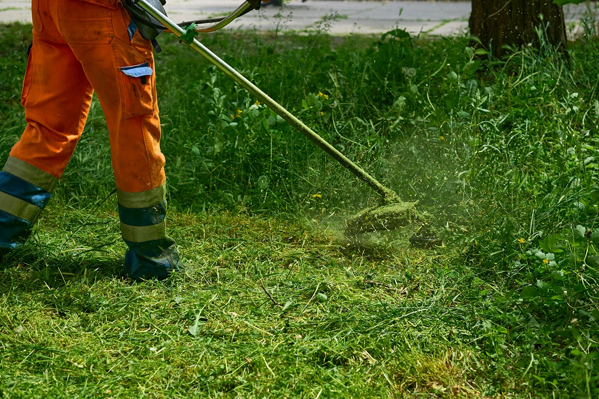 2026 09 10T14 46 34.148050Z landscaping professional grass cutting on green meadow with lawn mower photo